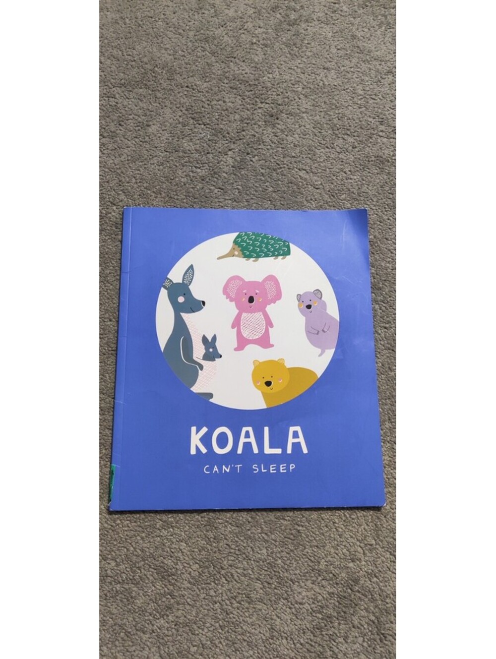 Koala Can't Sleep Nicola Nelson Lake Press Paperback Picture Book
